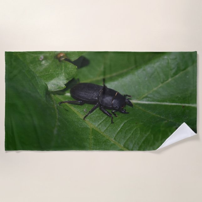 Toalla De Playa Dorcus parallelipipedus , el escarabajo de menor t (Anverso)