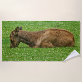 Toalla De Playa Dormir pequeño uno