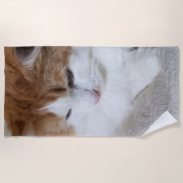 Toalla De Playa (Fancy felino) Contemplación gitana: foto de gato