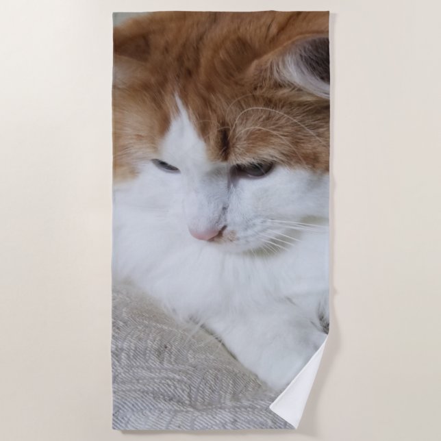 Toalla De Playa (Fancy felino) Contemplación gitana: foto de gato (Anverso)