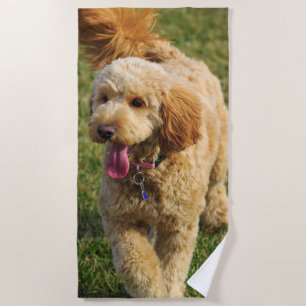 Toalla De Playa Foto de perro Goldendoodle