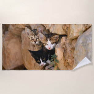 Toalla De Playa Foto divertida de tres del gato caras curiosas