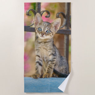 Toalla De Playa Gatito de tabby joven con ojos azules en un jardín