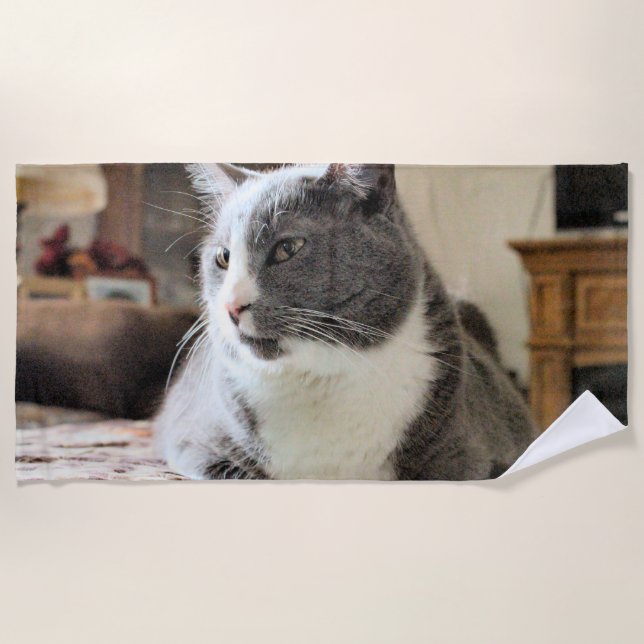 Toalla De Playa Gato (Anverso)