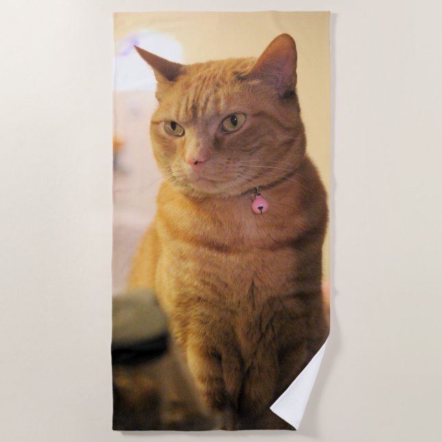 Toalla De Playa Gato (Anverso)