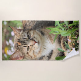 Toalla De Playa Gato