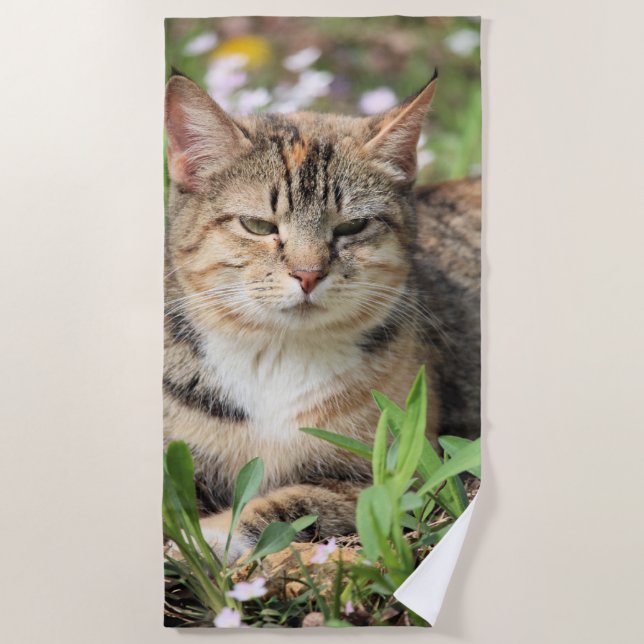 Toalla De Playa Gato (Anverso)