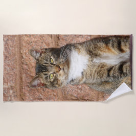 Toalla De Playa Gato de iglesia