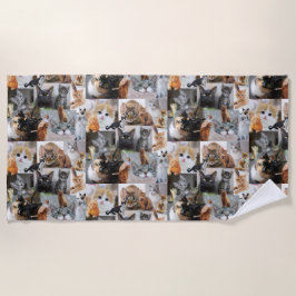 Toalla De Playa Gatos y gatitos