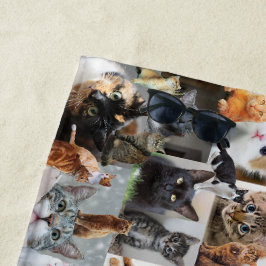 Toalla De Playa Gatos y gatitos