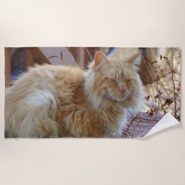 Toalla De Playa Ginger George (Anverso)