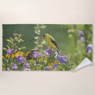 Toalla De Playa Goldfinch en una flor harebell