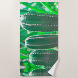 Toalla De Playa Hojas de la planta de cactus verde pastel