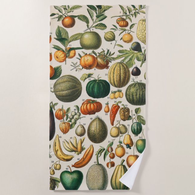 Toalla De Playa Ilustracion científico botánico de frutas (Anverso)