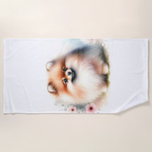 Ilustracion cutáneo de pomerania