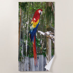 Toalla De Playa Isla de Macaw Parrot