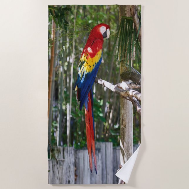 Toalla De Playa Isla de Macaw Parrot (Anverso)