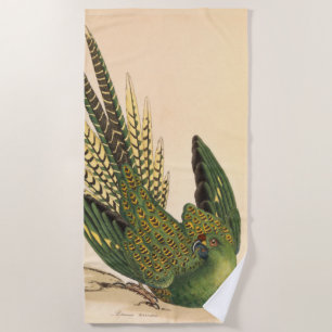 Toalla De Playa James Sowerby Ground Parrot, Psittacus terrestres