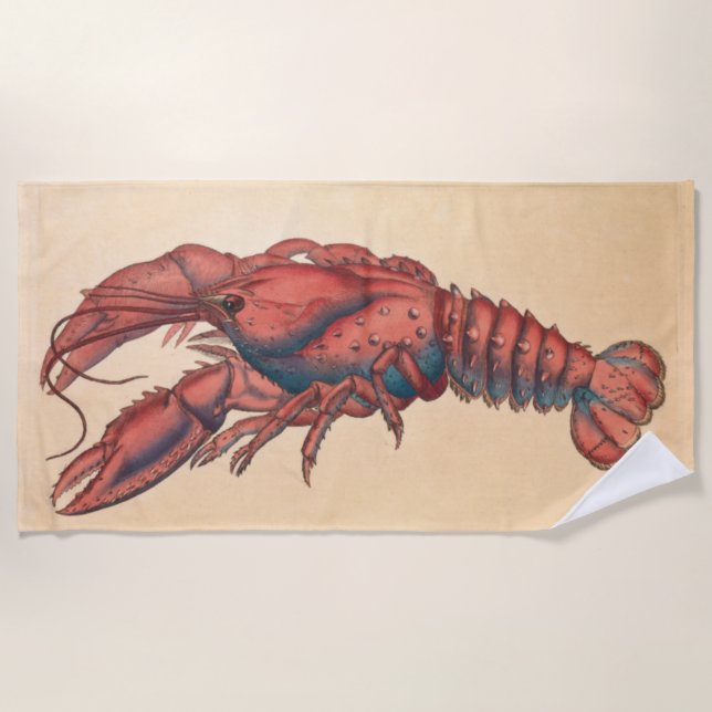 Toalla De Playa James Sowerby Serrate Lobster (Anverso)