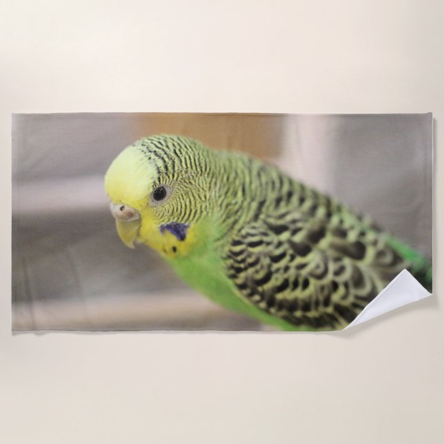 Toalla De Playa Kiwi (Anverso)