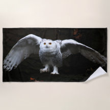 Lechuza nevada con alas abiertas btcnm