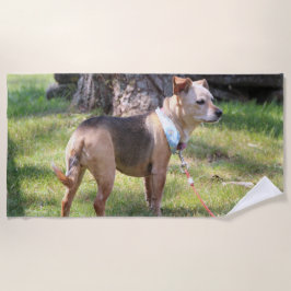 Toalla De Playa Lily Beach Towel