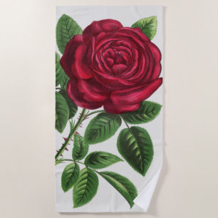 Toalla De Playa Litografía de rosa antigua, François-Frédéric Grob