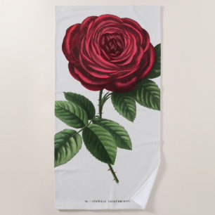 Toalla De Playa Litografía de rosa antigua, François-Frédéric Grob