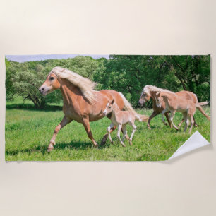 Toalla De Playa Los caballos de Haflinger con los potros lindos