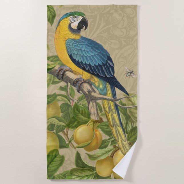 Toalla De Playa Macaw Blue Yellow Tropical Jungle Antigüedad (Anverso)