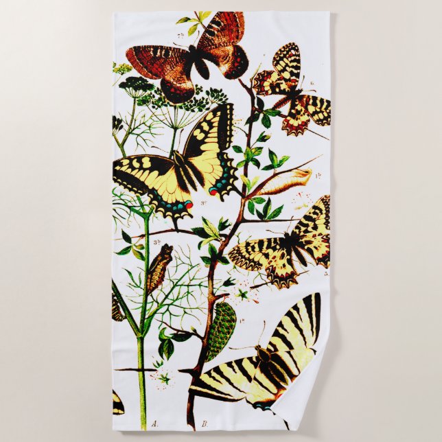 Toalla De Playa Mariposas de Francia (Anverso)