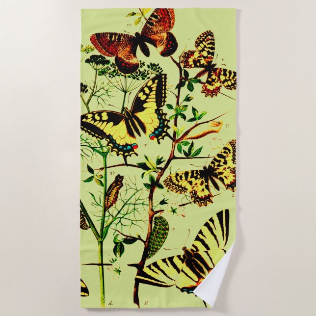 Toalla De Playa Mariposas de Francia (Anverso)