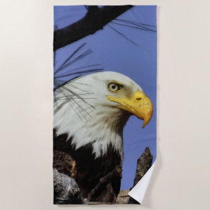 Toalla De Playa Mature Malé Calvo Águila Cierre Cabeza Disparo