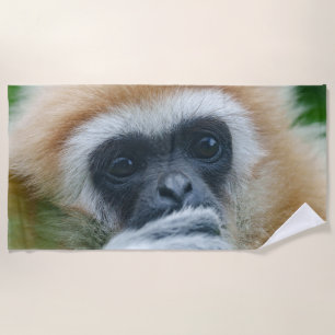 Toalla De Playa Mirando A Los Ojos De Un Lar Gibbon