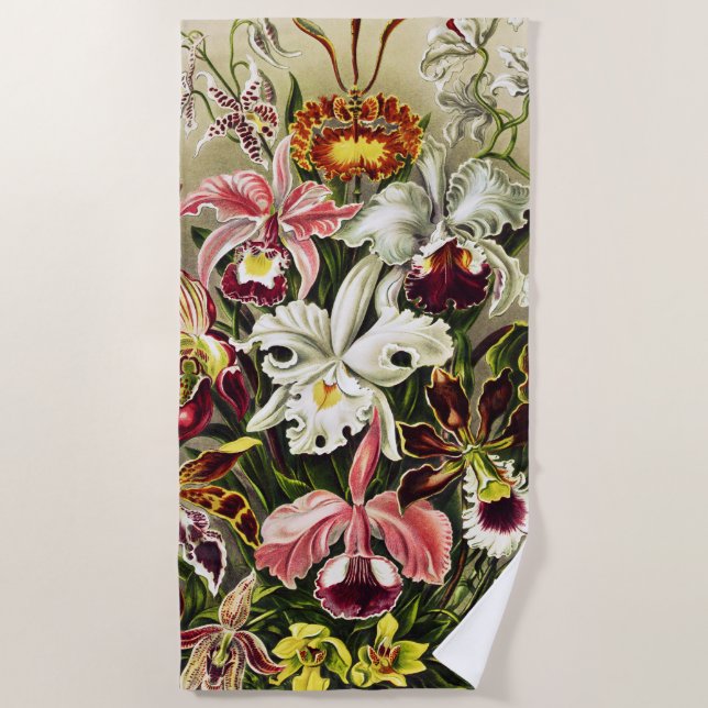 Toalla De Playa Orquídeas Orchideae Denusblumen Ernst Haeckel (Anverso)