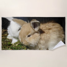 Pequeños conejitos esponjosos