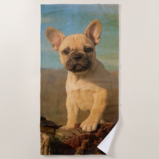 Toalla De Playa Perrito lindo del bulldog francés - foto divertida (Anverso)