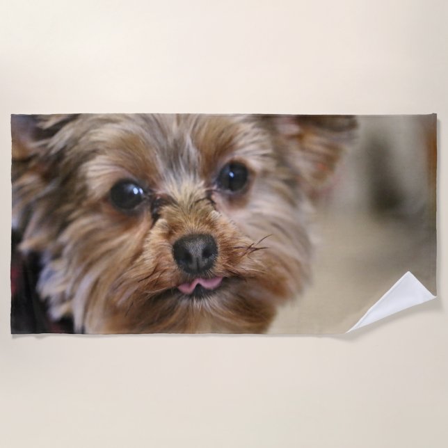 Toalla De Playa Pfft (Anverso)