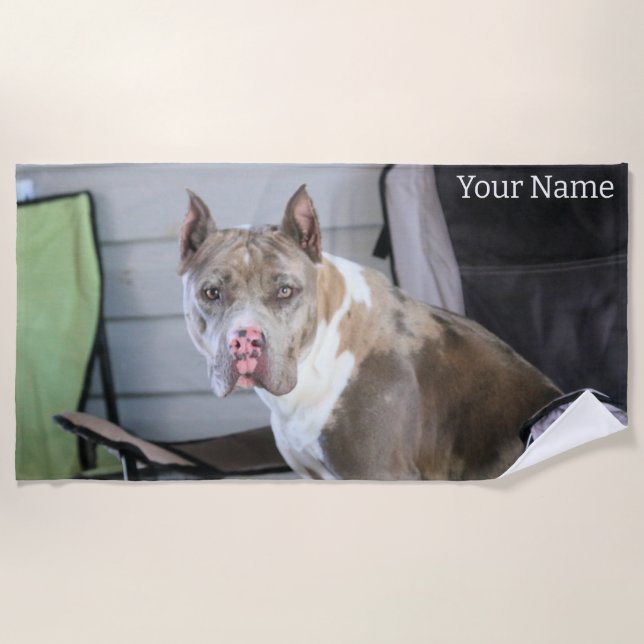 Toalla De Playa Pit Bull (Anverso)