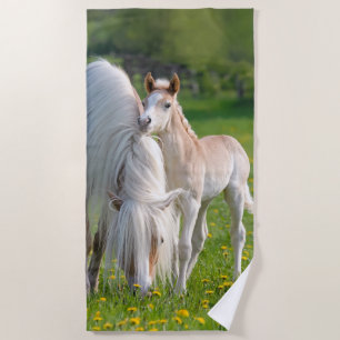 Toalla De Playa Potro lindo del bebé de los caballos de Haflinger