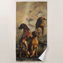 Ridgeback ruso con león