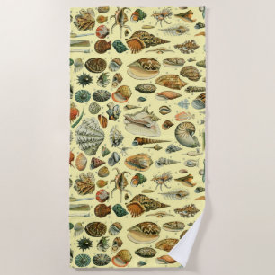 Toalla De Playa Shell de conchas marinas Mollusk Clam Elegante Art