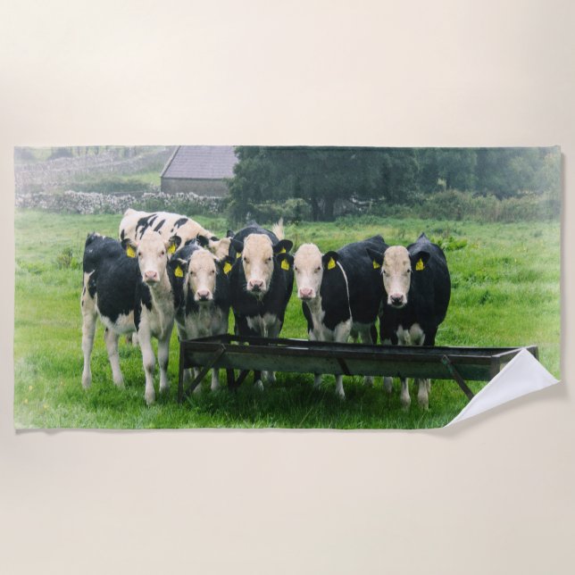 Toalla De Playa Smile please! Cute cows (Anverso)