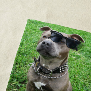 Toalla De Playa Staffordshire Bull Terrier Sentado A La Atención,