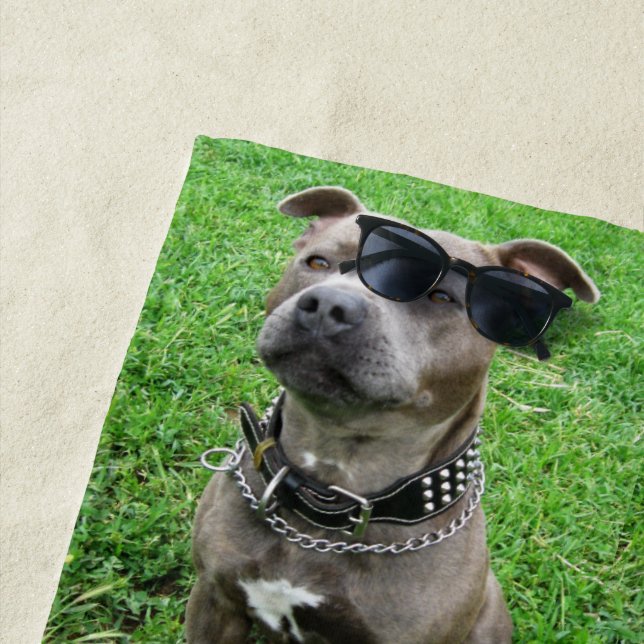 Toalla De Playa Staffordshire Bull Terrier Sentado A La Atención, (In situ)