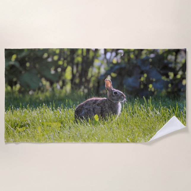Toalla De Playa Sunny Bunny (Anverso)