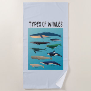 Toalla De Playa Tipos de ballenas Océano Variedad Mammal