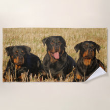Tres perros Rottweiler - Paquete de rociones
