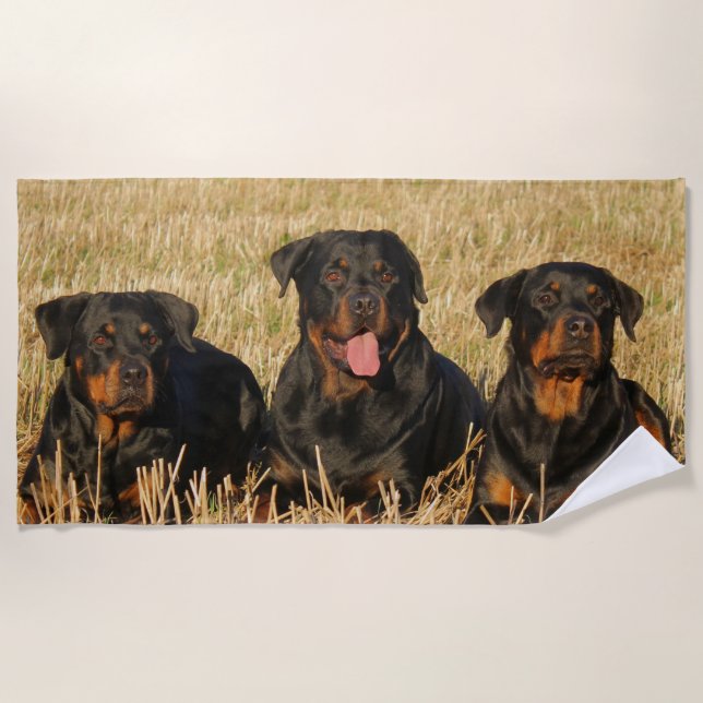 Toalla De Playa Tres perros Rottweiler - Paquete de rociones (Anverso)