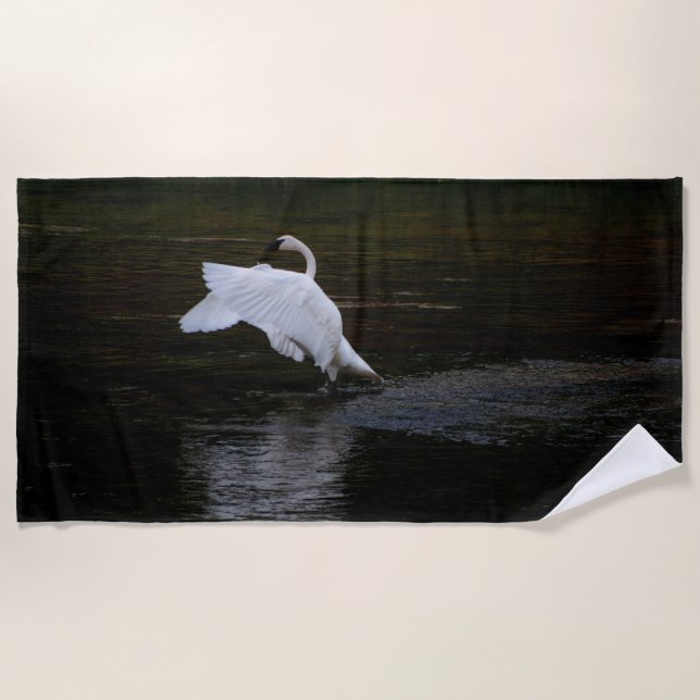 Toalla De Playa Trumpeter Swan (Anverso)
